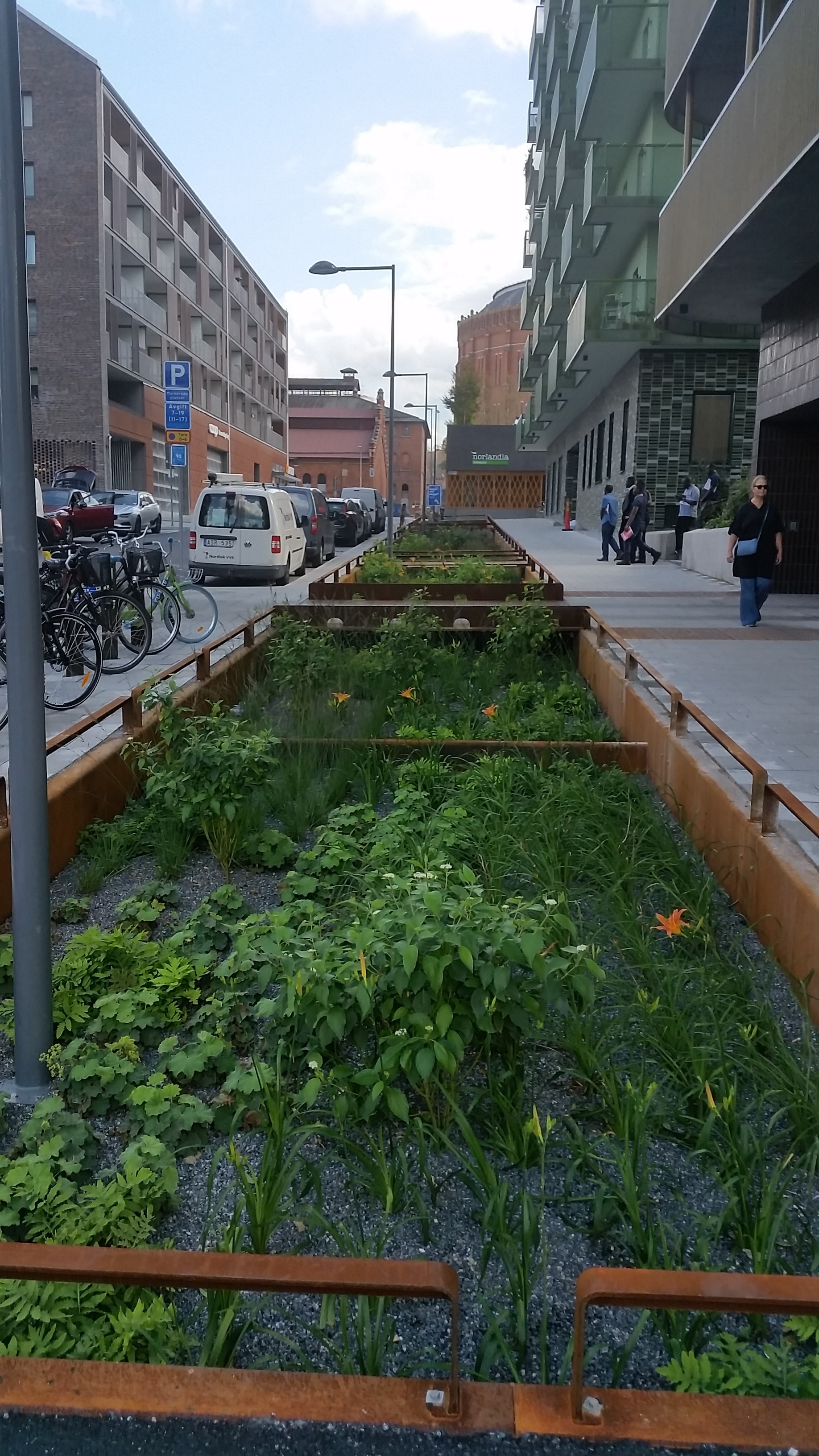 Street planters as urban green infrastructure in Stockholm.