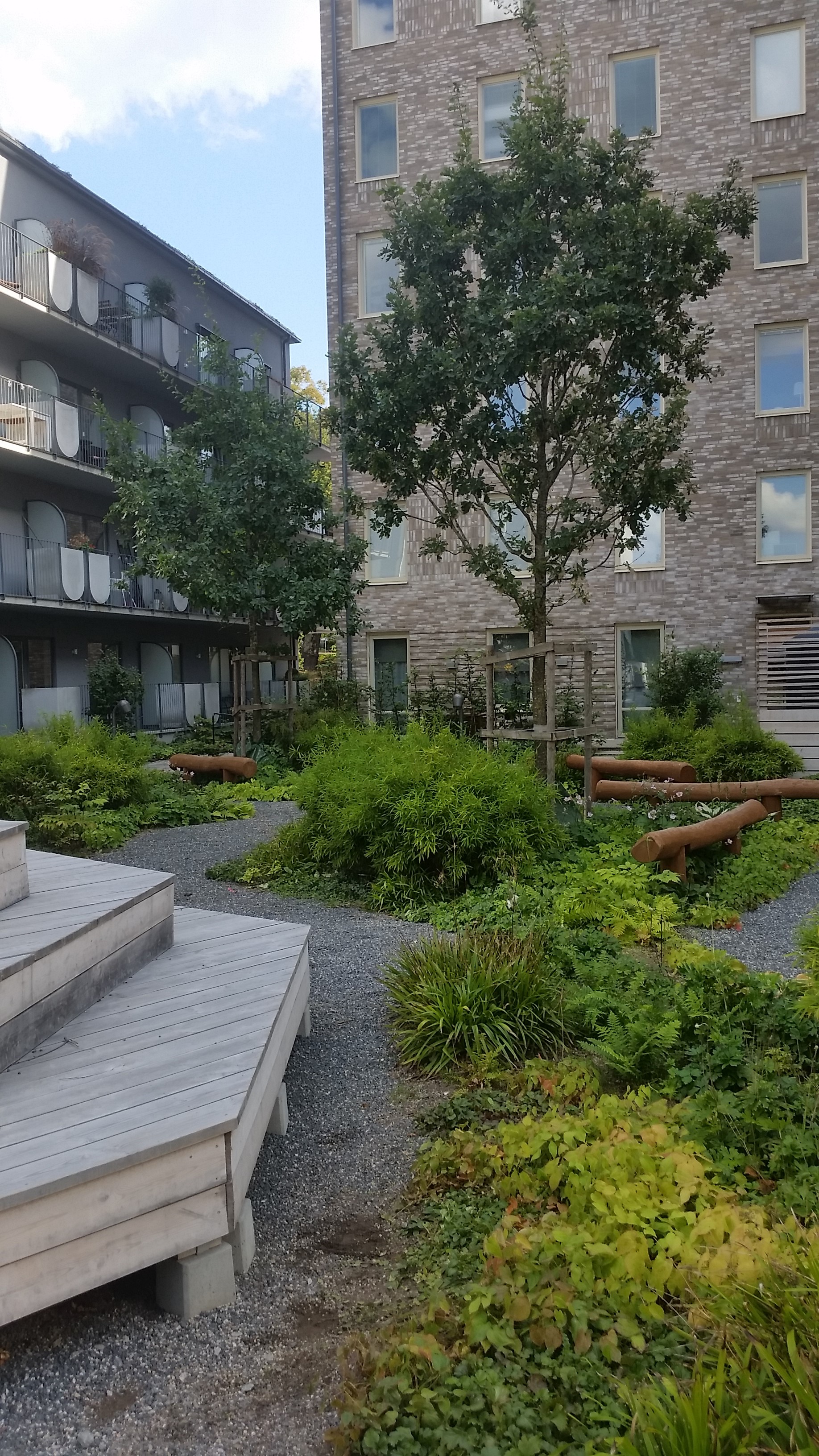 Trees and shrubs in the urban environment Stockholm.