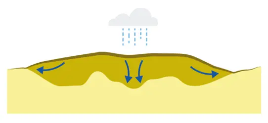 Illustration med flödesriktning för mosse