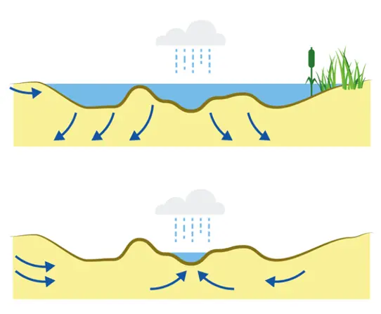Illustration av flödesriktning för limniska strandvåtmarker