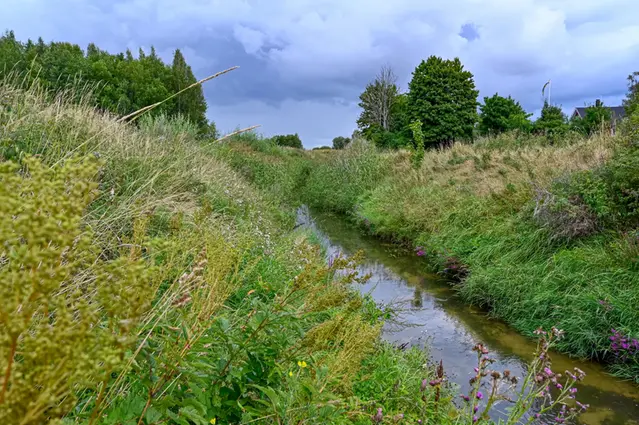 Dike mellan åkrar.