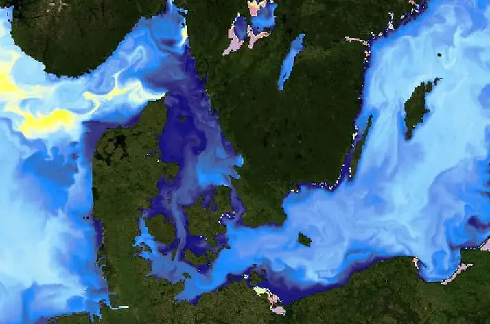 Bilden visar en prognos på ytvattentemperaturen från NEMO-Nordic.