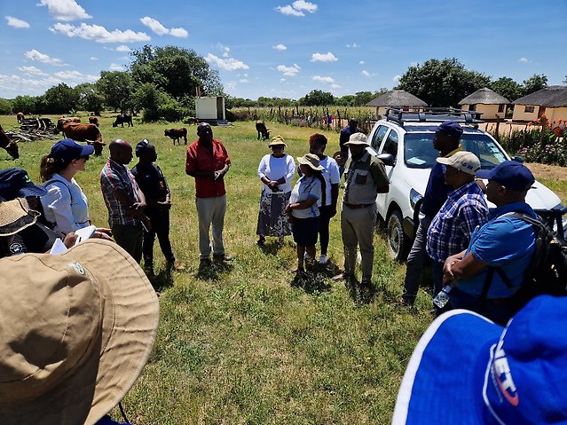 A group pf people during a field visit in rural Zimbabwe, in the background a field and some cattles. 