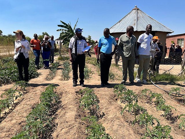 Field visit in rural Zimbabwe