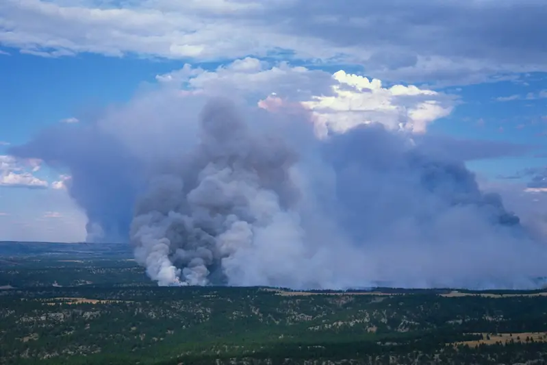Rökmolnet av en skogsbrand