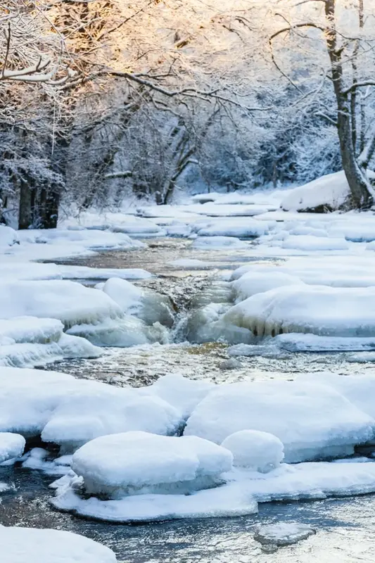 Rinnande älv i en snötäckt skog