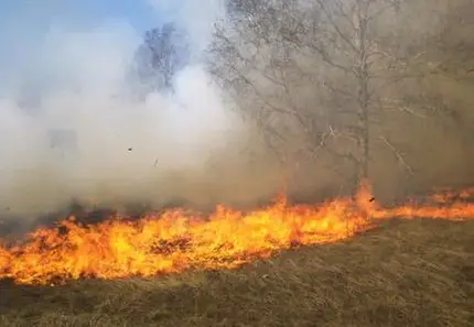 Gräsbrand