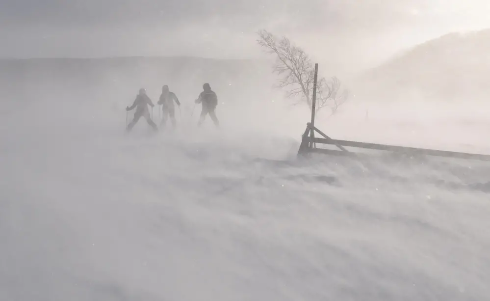 Vandrare i en snöstorm
