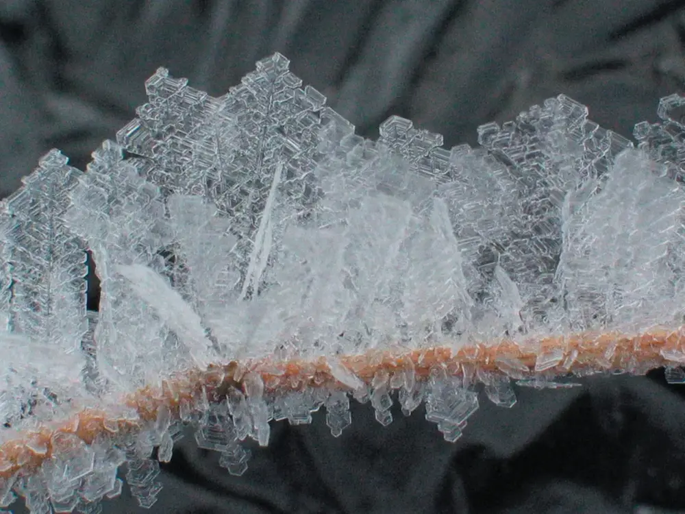 Rimfrost