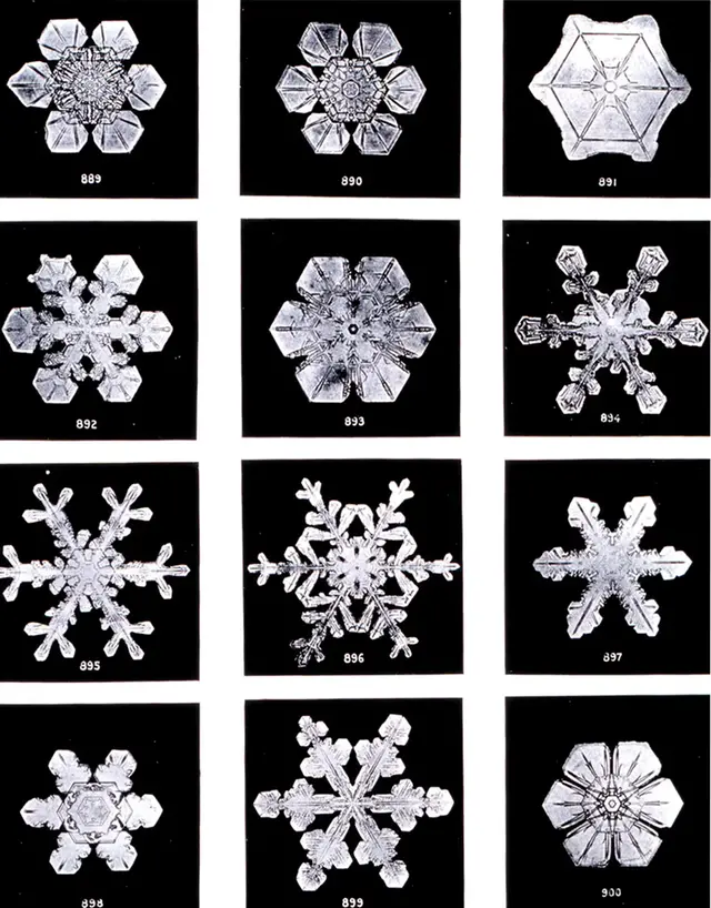 Snöflingor i förstoring