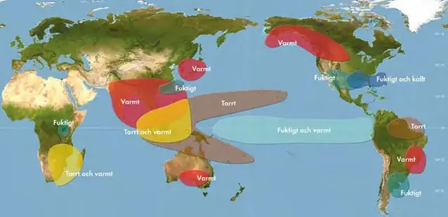 El Niño påverkar vädret i stora delar av världen. Illustrationen visar typisk påverkan under decembe