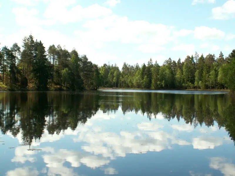 sjö