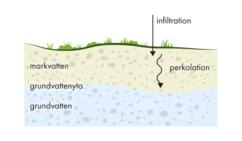 Illustration över grundvatten