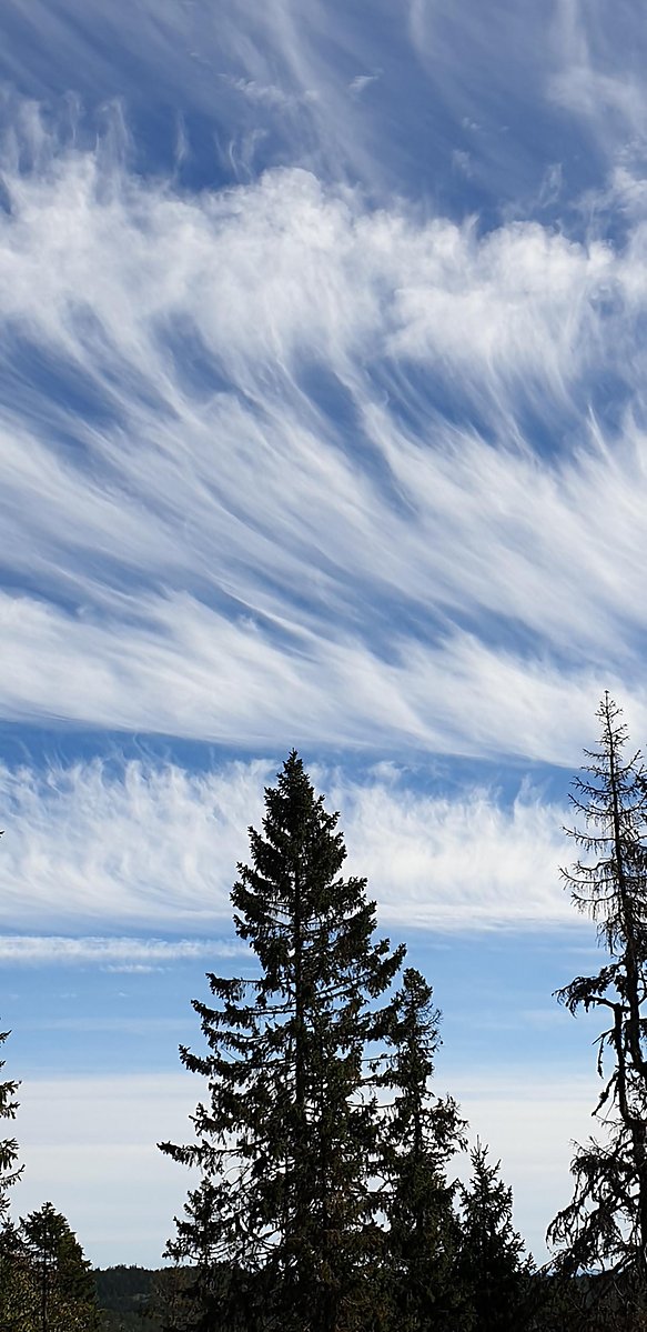 Moln av typen Cirrus floccus.