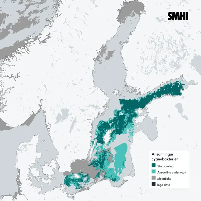 Karta som visar ansamling av cyanobakterier