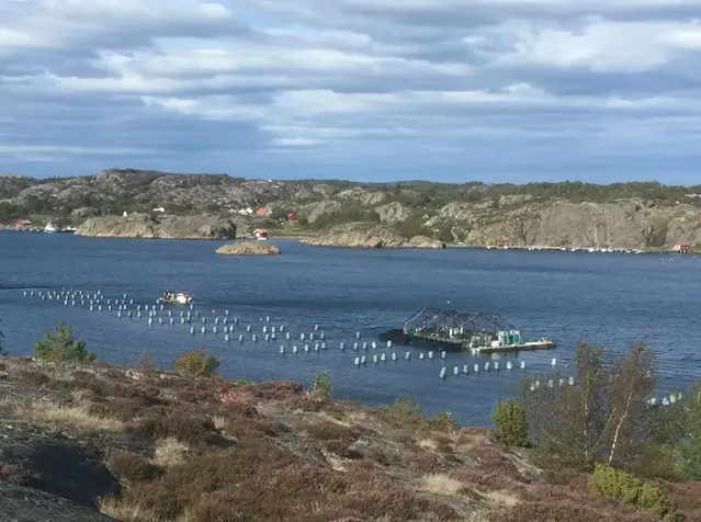 Forskningsgruppen om oceanografiska processer skapar förståelse för småskaliga processer i havet och i kustvattnen.
