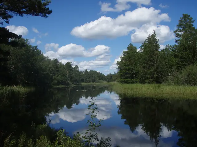 Virån