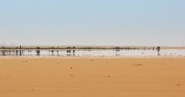 Undre hägring i Libyen