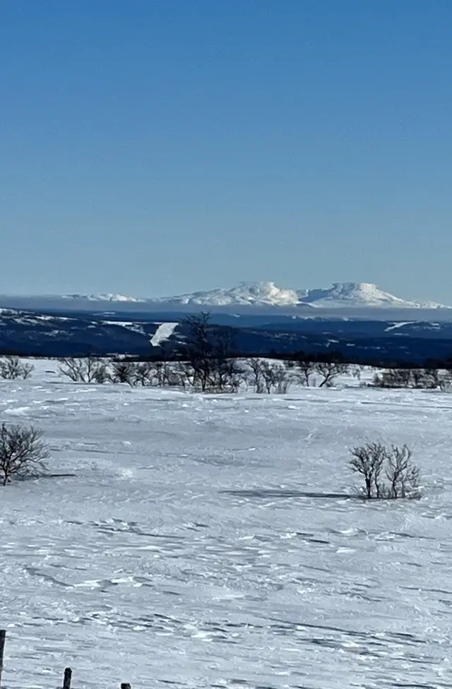 Bilden visar ett foto av övre hägringar över Åreskutan.