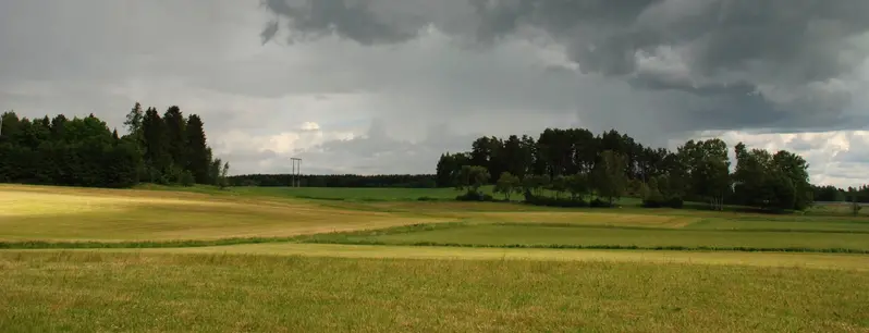 mulen himmel. 
