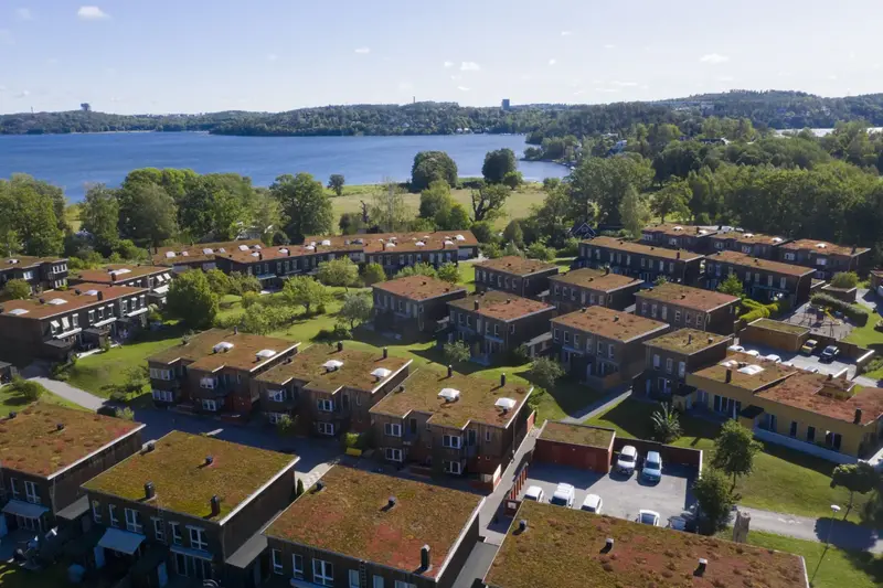 Aerial view of houses with green roofs. The neighborhood is surrounded by trees and a lake.