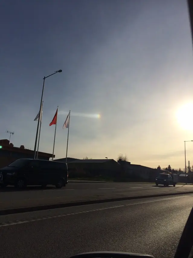Bisol till vänster om solen