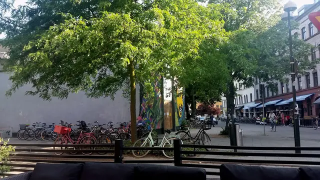 Green trees in the urban environment in Malmö.